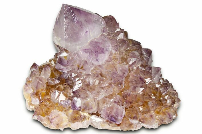 Deep-Purple Cactus Amethyst Crystal Cluster - South Africa #364623
